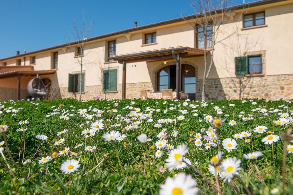 Agriturismo Biologico Diacceroni Villamagna  Exterior foto